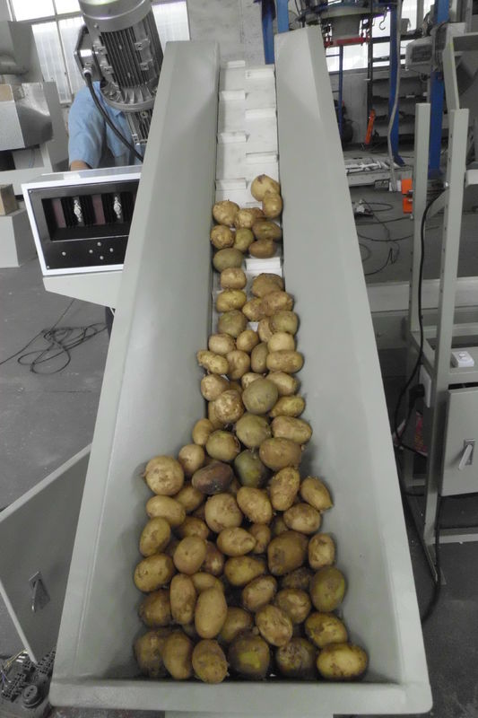 Berufspresse-Kohle/BBQ/Kartoffel-Verpackungsmaschine mit Hafen RS232/485