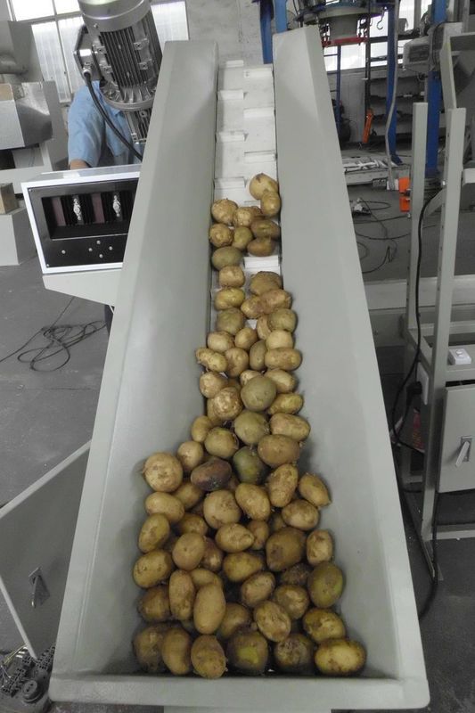 Kundengebundene Kartoffel-Verpackungsmaschine-bewegliche Aufbauschungs-Anlage 2.5KW